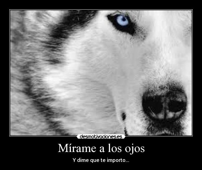 Mírame a los ojos - Y dime que te importo...