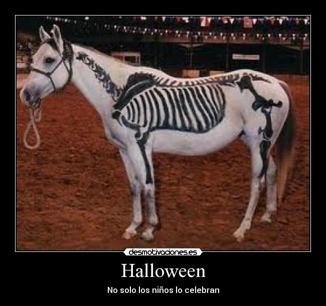 Halloween - 