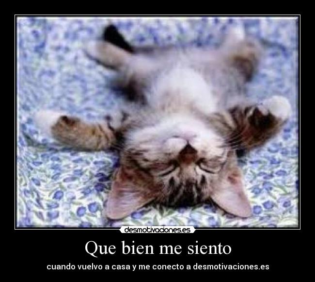 Que bien me siento - cuando vuelvo a casa y me conecto a desmotivaciones.es