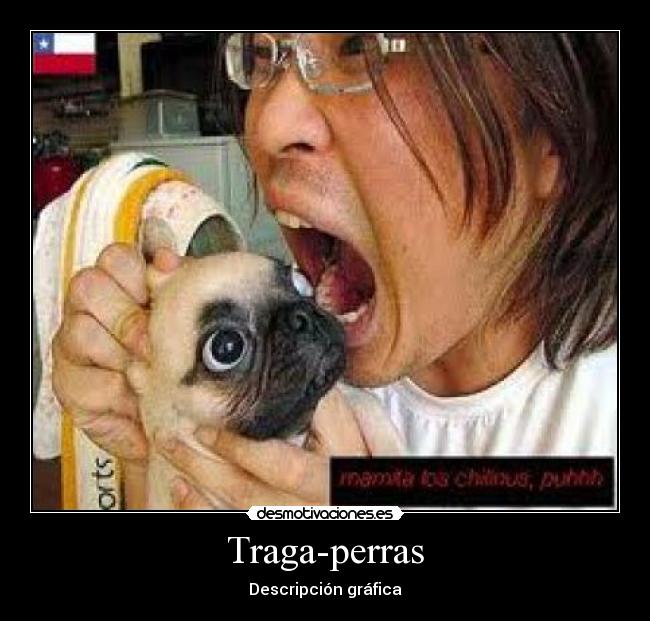 Traga-perras -