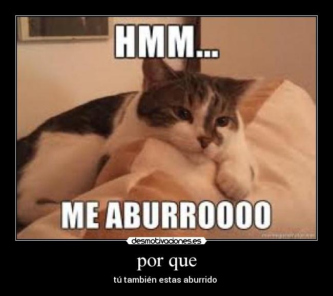 por que - tú también estas aburrido