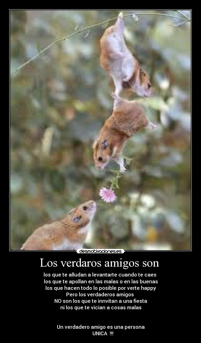 Los verdaros amigos son - los que te alludan a levantarte cuando te caes
los que te apollan en las malas o en las buenas
los que hacen todo lo posible por verte happy
Pero los verdaderos amigos
NO son los que te innvitan a una fiesta
ni los que te vician a cosas malas
Un verdadero amigo es una persona
UNICA !!!
