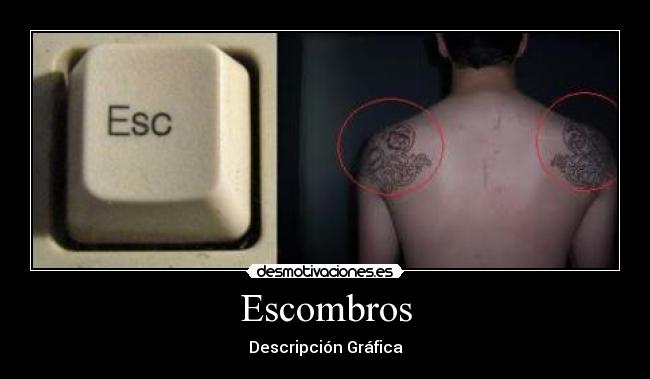 Escombros - Descripción Gráfica
