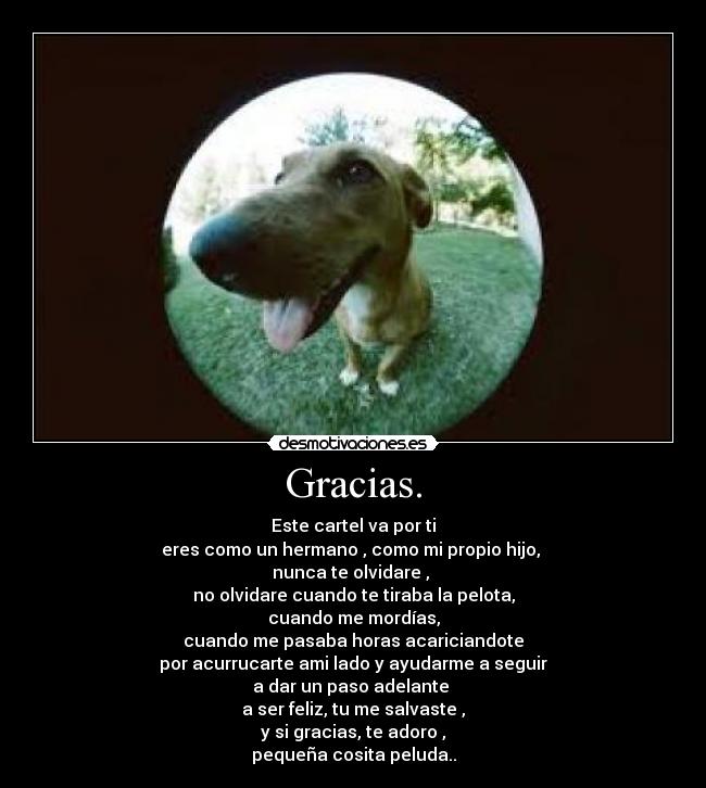 Gracias. - 