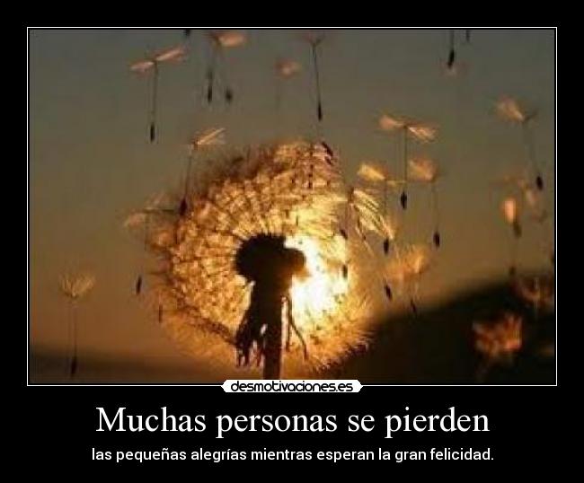 Muchas personas se pierden - las pequeñas alegrías mientras esperan la gran felicidad.