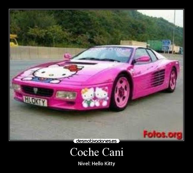 Coche Cani - 