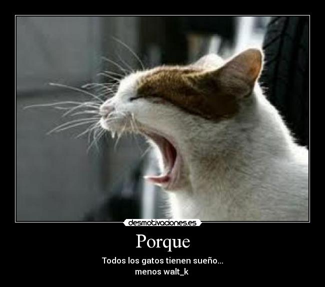 Porque - Todos los gatos tienen sueño...
menos walt_k
