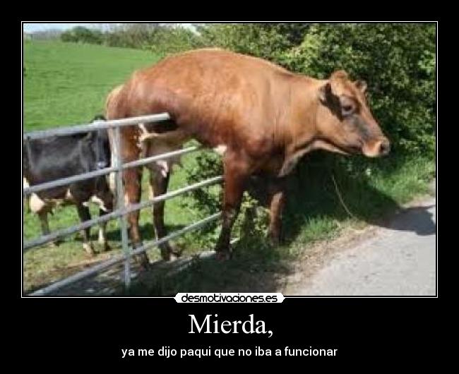 Mierda, - ya me dijo paqui que no iba a funcionar