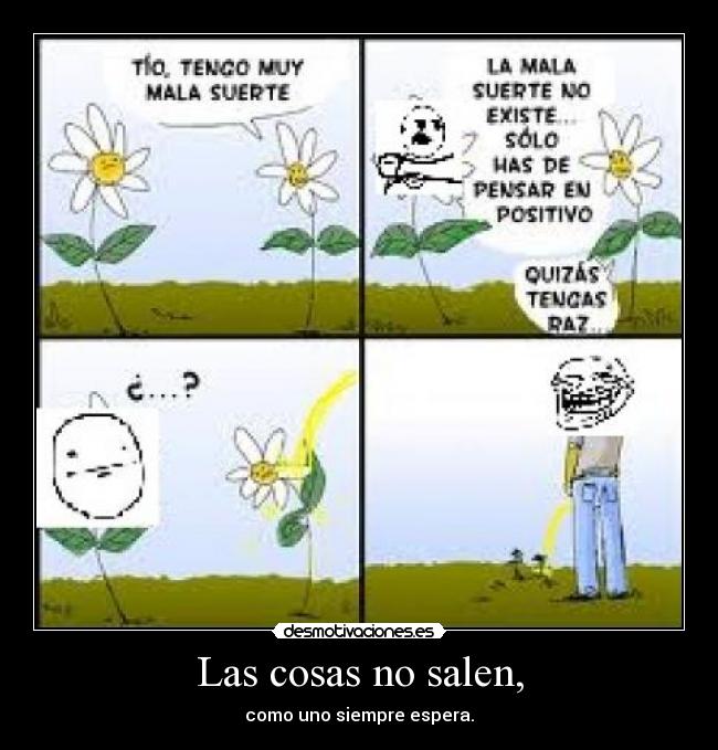 Las cosas no salen, - como uno siempre espera.