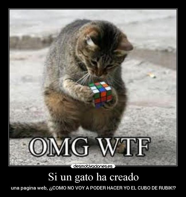 Si un gato ha creado -