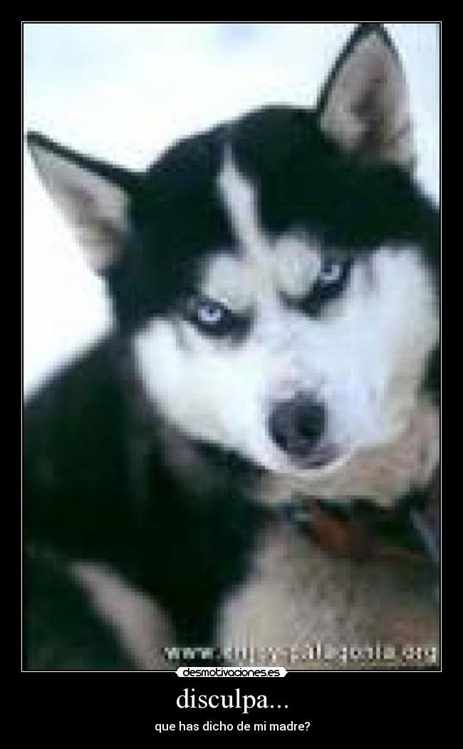 disculpa... - que has dicho de mi madre?