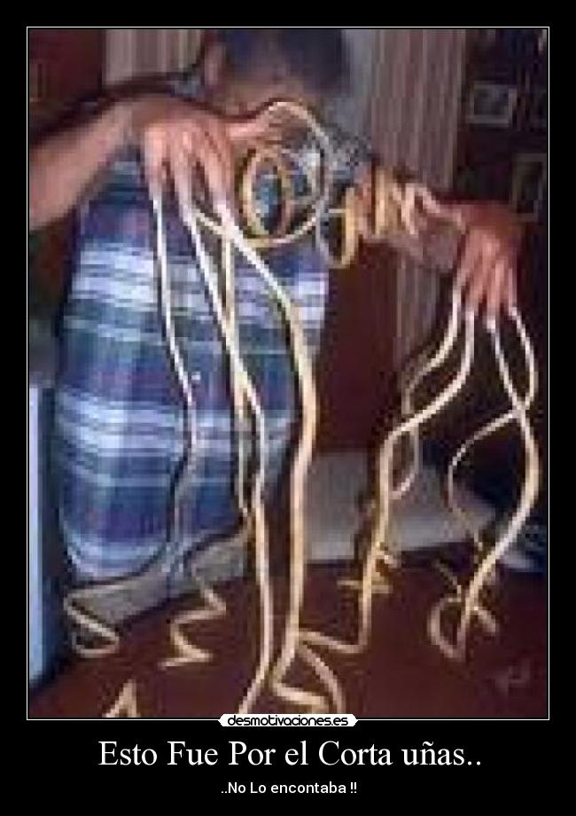 carteles gracioso-jr-divertido-unas-enormes-new-corta-unas-guiness-word-record-xd desmotivaciones