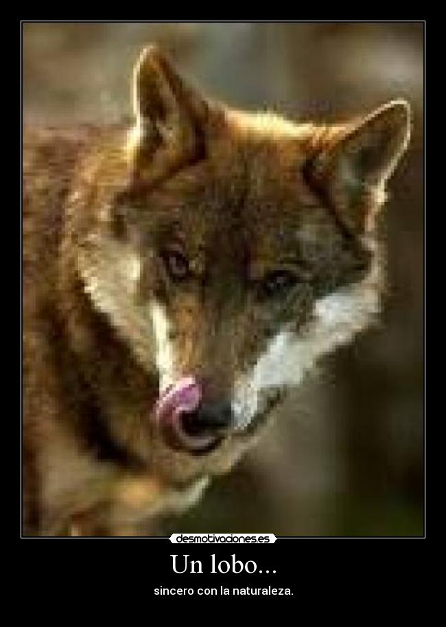 carteles desmotivaciones