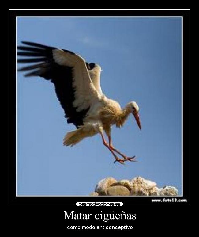 Matar cigüeñas - como modo anticonceptivo