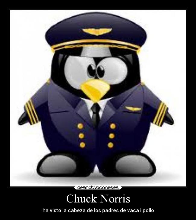 Chuck Norris - ha visto la cabeza de los padres de vaca i pollo