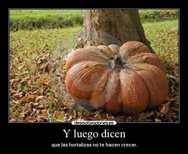 carteles hortalizas desmotivaciones