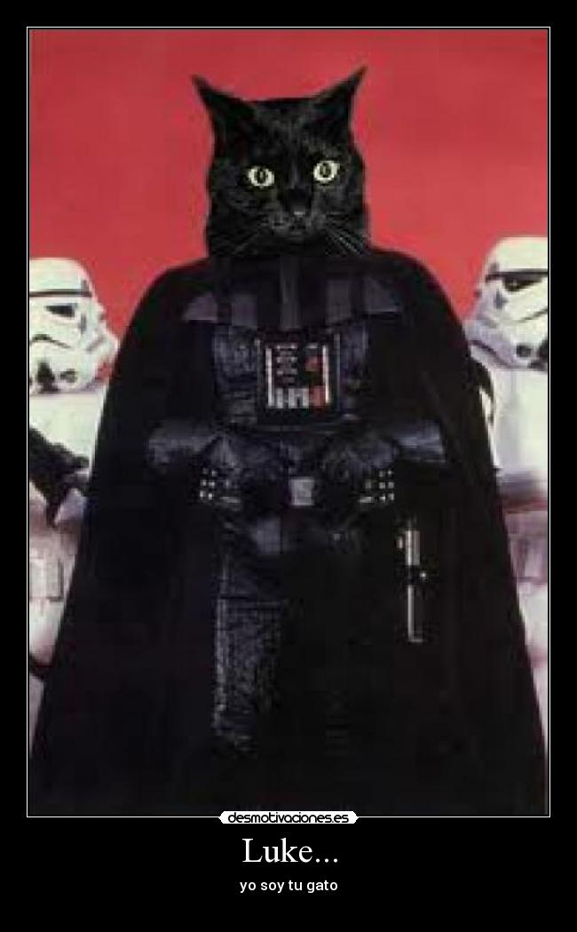 Luke... - yo soy tu gato