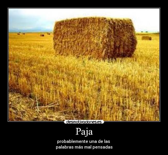 Paja - probablemente una de las
palabras más mal pensadas