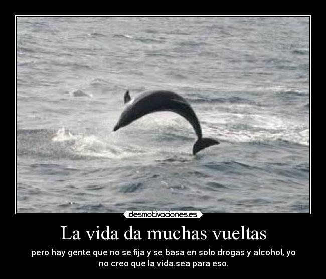 La vida da muchas vueltas -