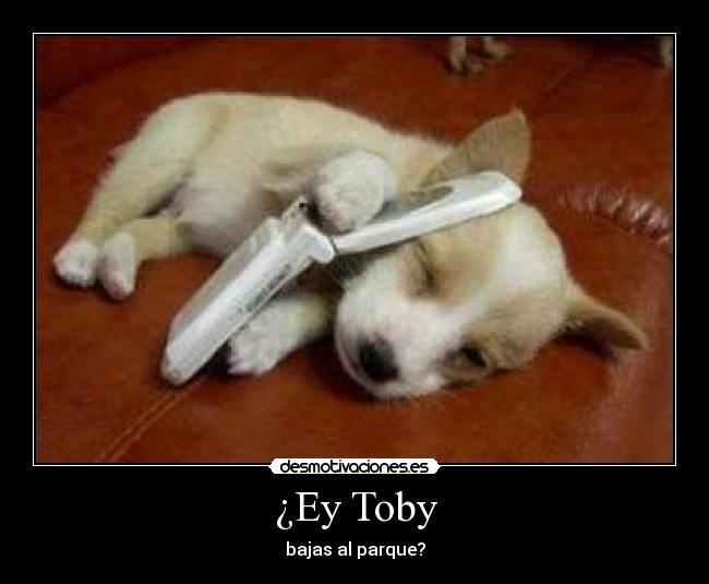 ¿Ey Toby -