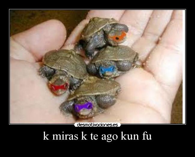 k miras k te ago kun fu -