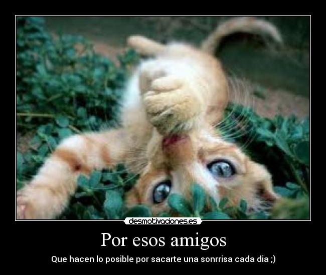 Por esos amigos - Que hacen lo posible por sacarte una sonrrisa cada dia ;)
