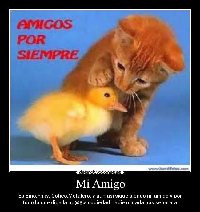 Mi Amigo - 