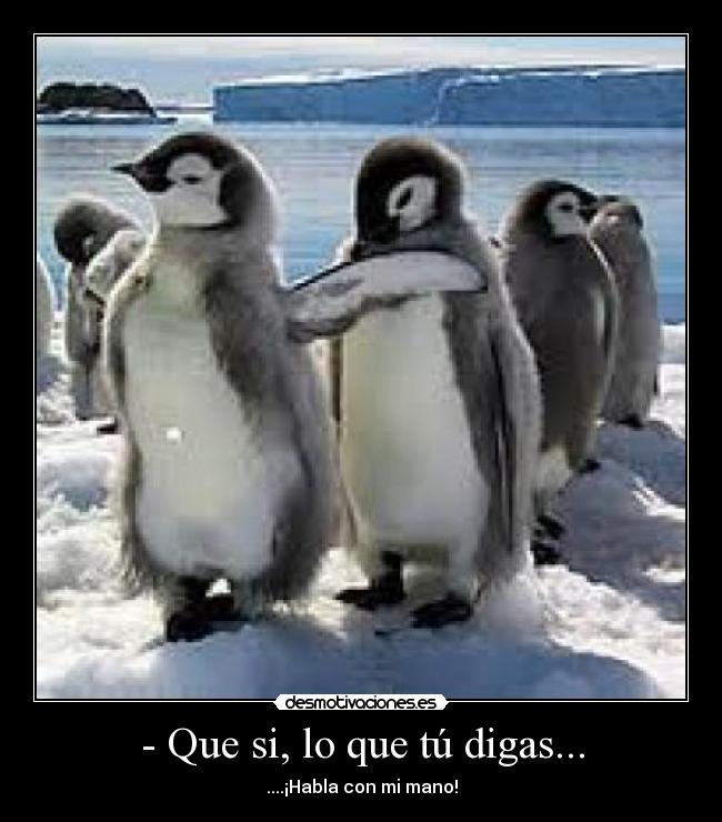 - Que si, lo que tú digas... - ....¡Habla con mi mano!