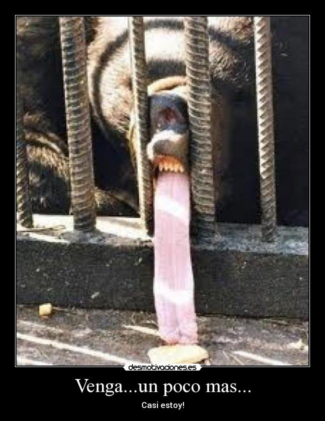 Venga...un poco mas... - 