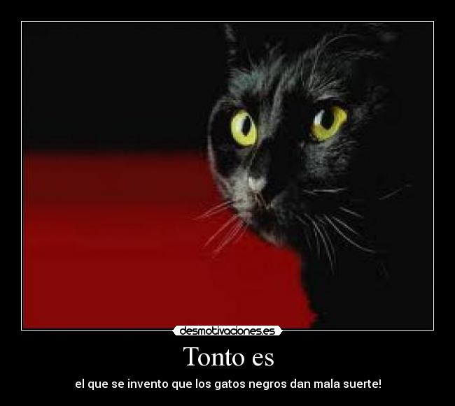 Tonto es -