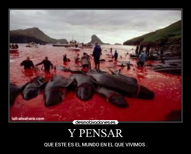 Y PENSAR -