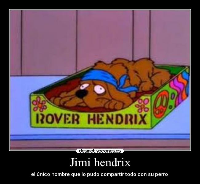 Jimi hendrix - el único hombre que lo pudo compartir todo con su perro 