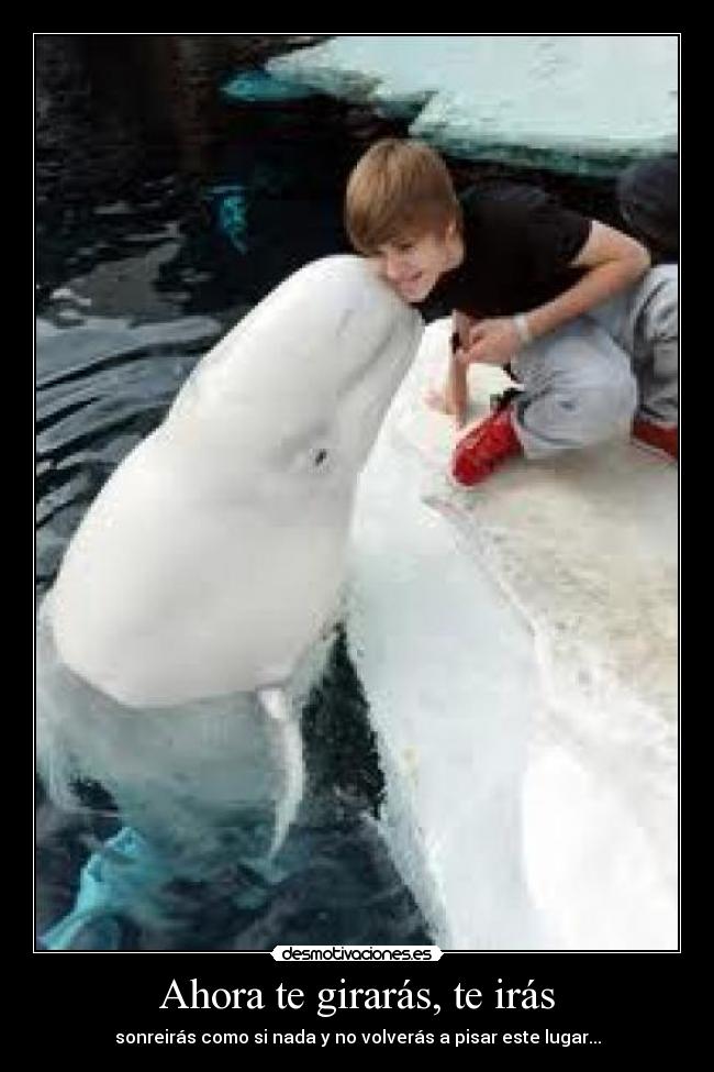 Ahora te girarás, te irás - sonreirás como si nada y no volverás a pisar este lugar...