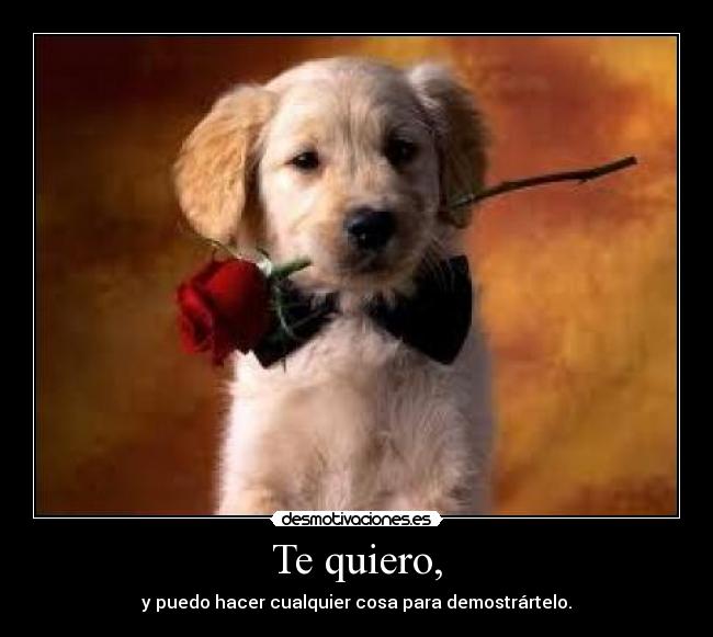 carteles perrito rosa pajarita desmotivaciones