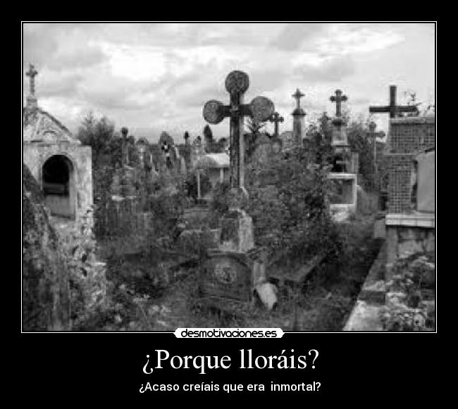 ¿Porque lloráis? - ¿Acaso creíais que era  inmortal?