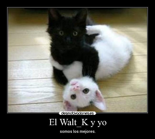 El Walt_K y yo -