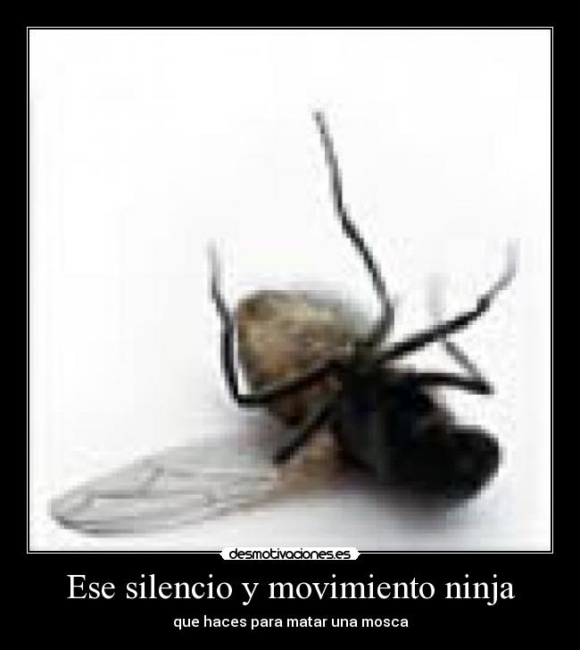 Ese silencio y movimiento ninja - 