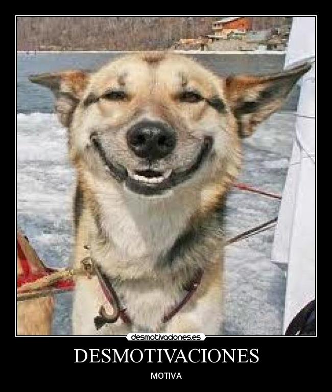 DESMOTIVACIONES - 