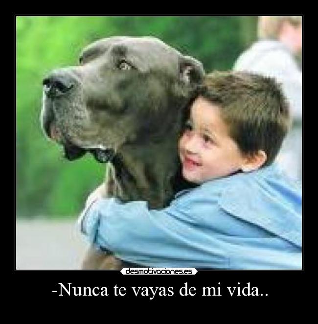 -Nunca te vayas de mi vida.. -
