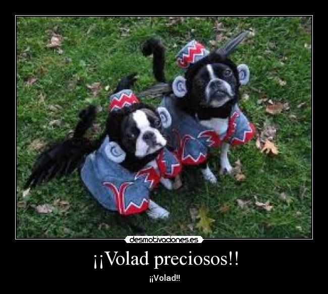 ¡¡Volad preciosos!! - ¡¡Volad!!