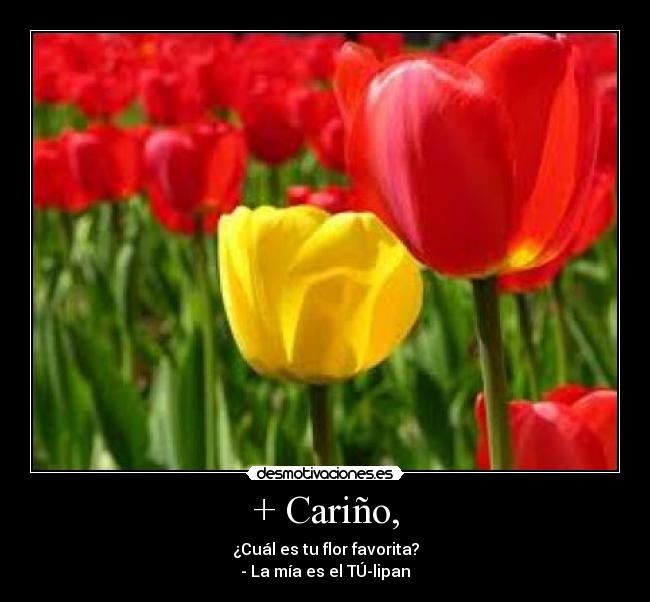 carteles fdsfdfdsf desmotivaciones