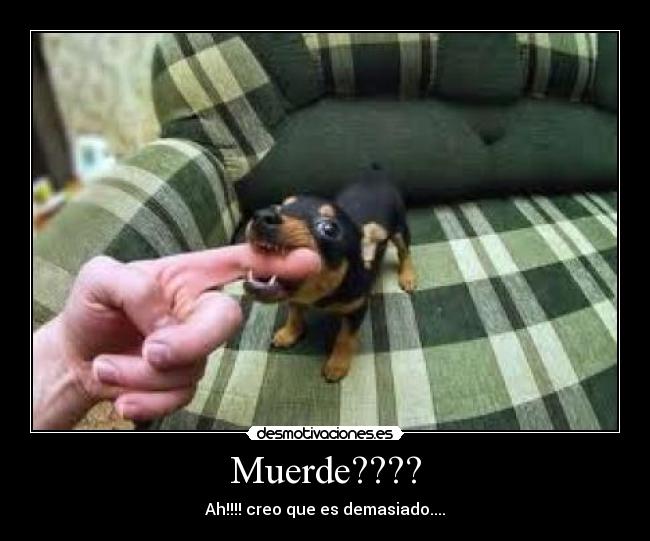 Muerde???? - Ah!!!! creo que es demasiado....