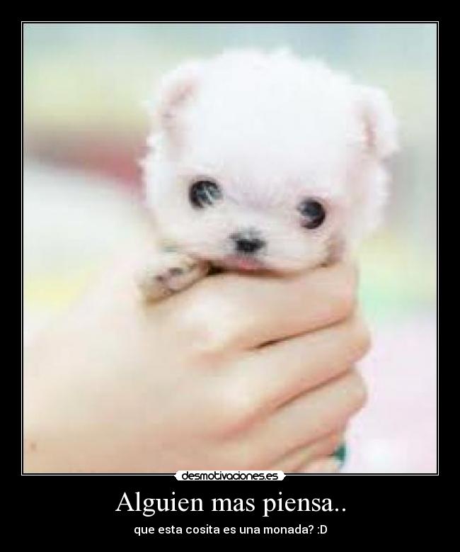 Alguien mas piensa.. -