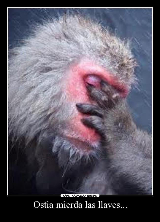 carteles mono desmotivaciones