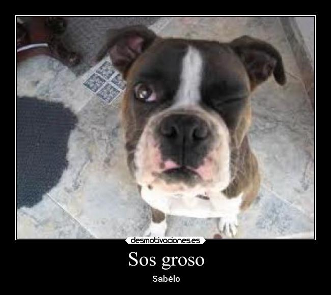 Sos groso - 