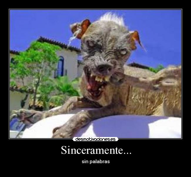 carteles werty desmotivaciones