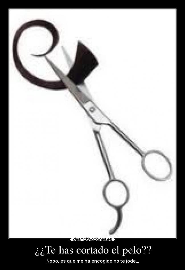 ¿¿Te has cortado el pelo?? - Nooo, es que me ha encogido no te jode...
