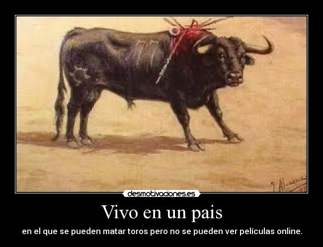 Vivo en un pais - en el que se pueden matar toros pero no se pueden ver películas online.
