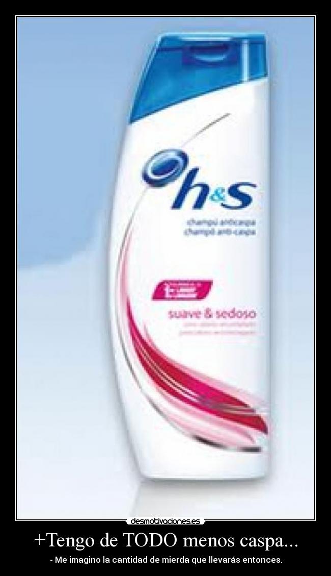 +Tengo de TODO menos caspa... - - Me imagino la cantidad de mierda que llevarás entonces.