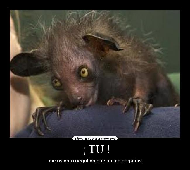 ¡ TU ! - me as vota negativo que no me engañas